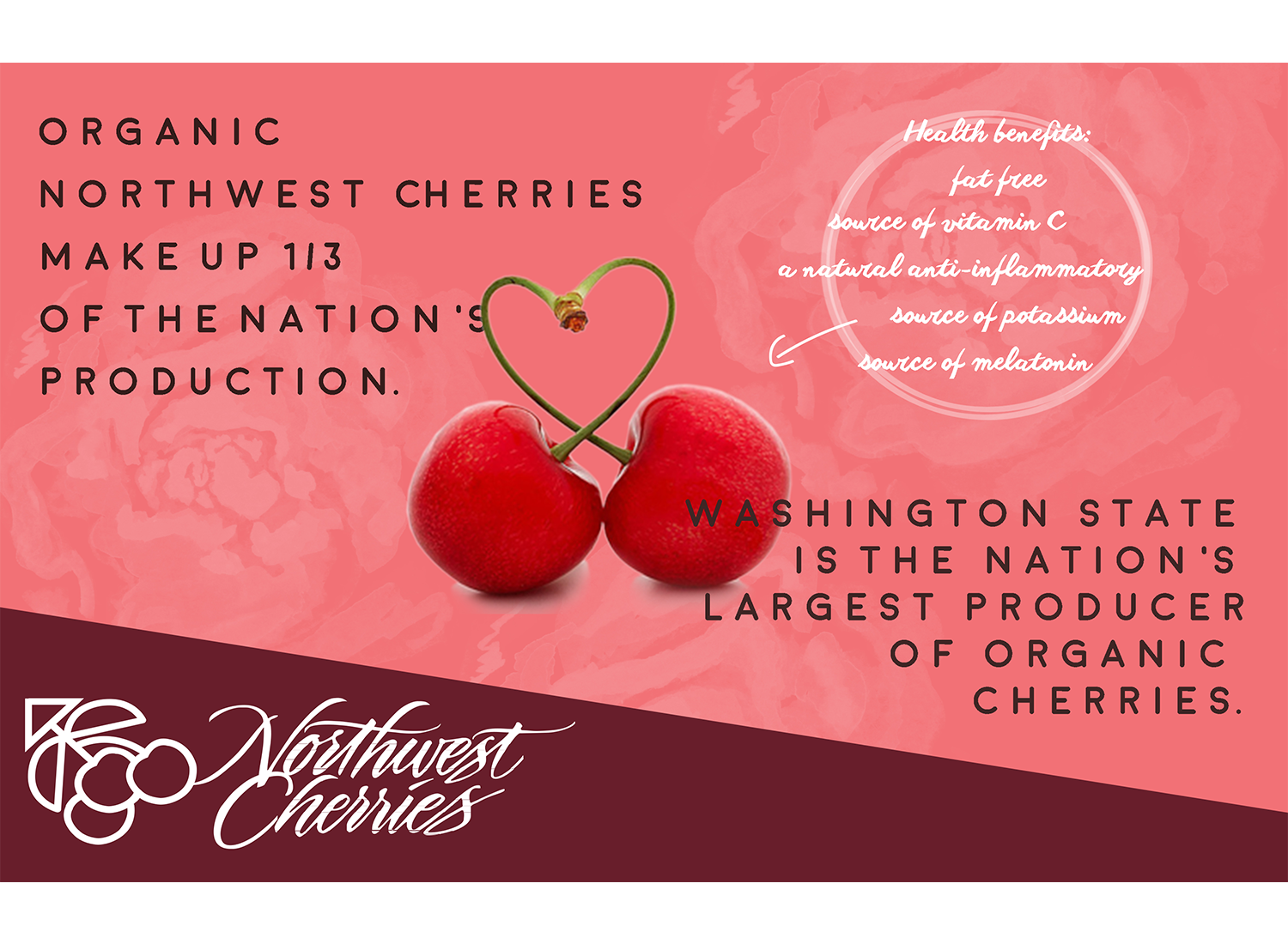Flyer Design by CatEyesStudio for Washington State Fruit Commission | Design #13995360