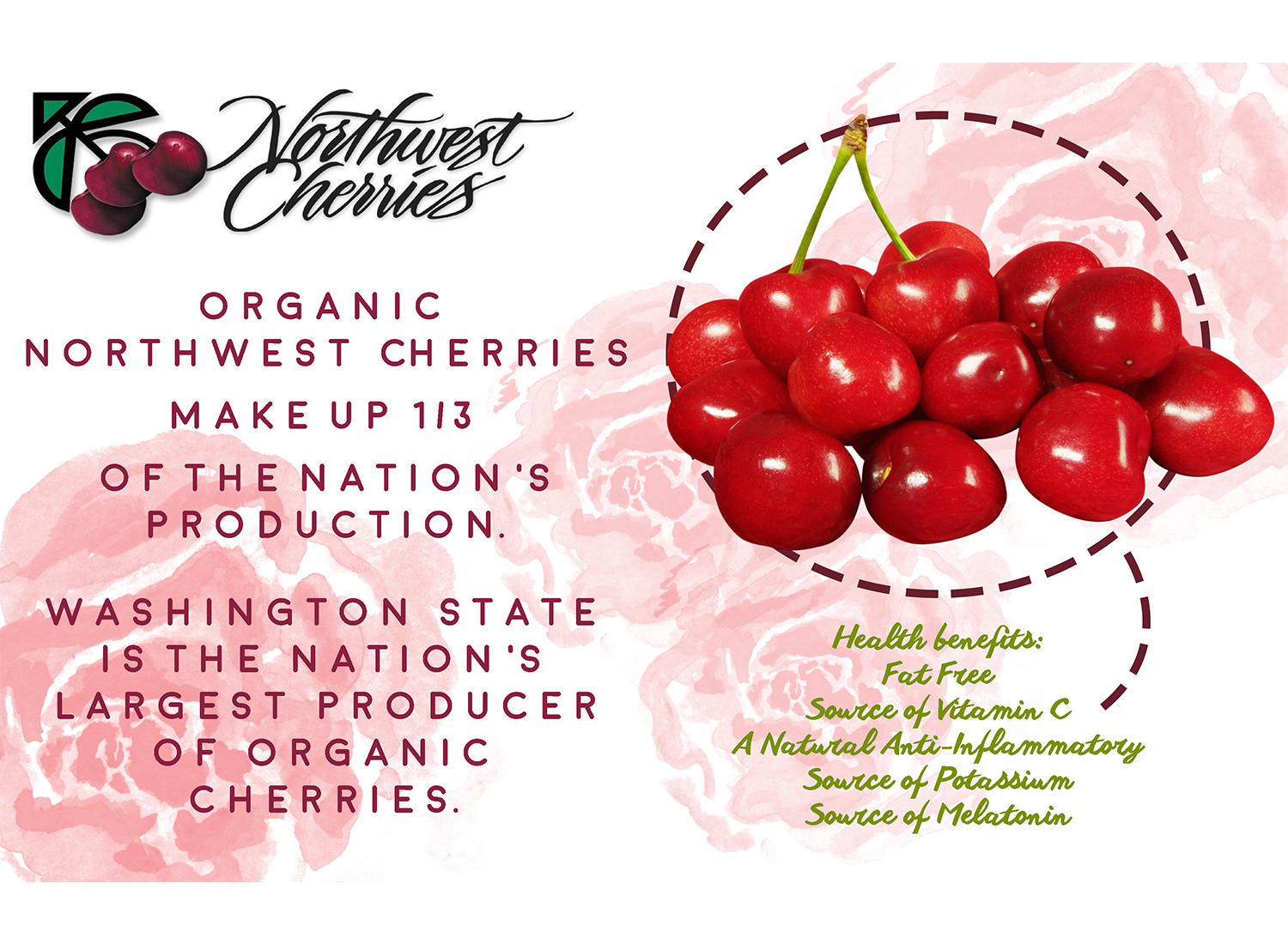Flyer Design by CatEyesStudio for Washington State Fruit Commission | Design #13998688