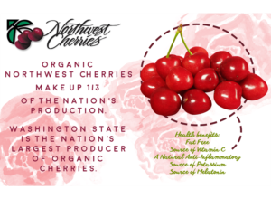 Flyer Design by CatEyesStudio for Washington State Fruit Commission | Design: #13998688
