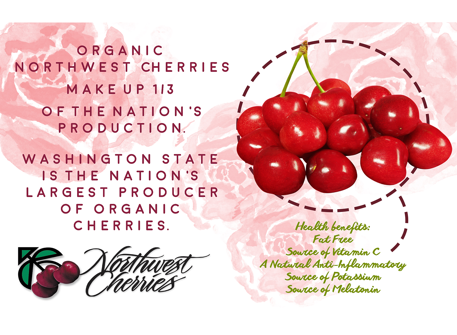 Diseño de Flyer por CatEyesStudio para Washington State Fruit Commission | Diseño #13998689