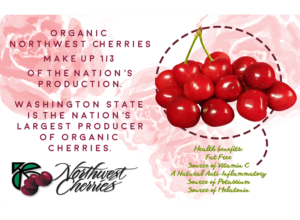 Flyer Design by CatEyesStudio for Washington State Fruit Commission | Design: #13998689