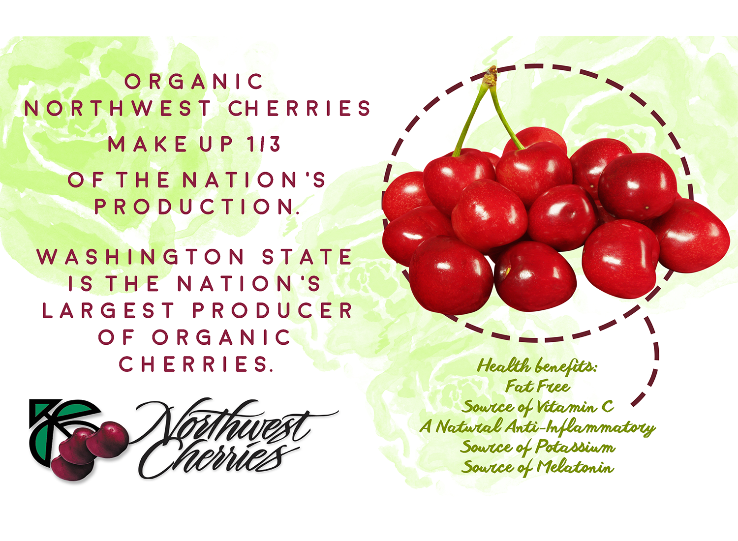 Flyer Design by CatEyesStudio for Washington State Fruit Commission | Design #13998690