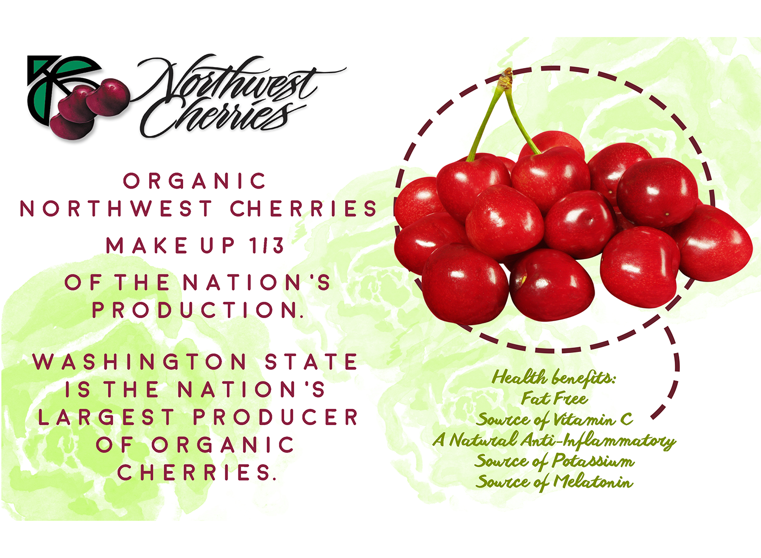 Diseño de Flyer por CatEyesStudio para Washington State Fruit Commission | Diseño #13998691