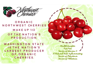 Flyer Design by CatEyesStudio for Washington State Fruit Commission | Design: #13998691