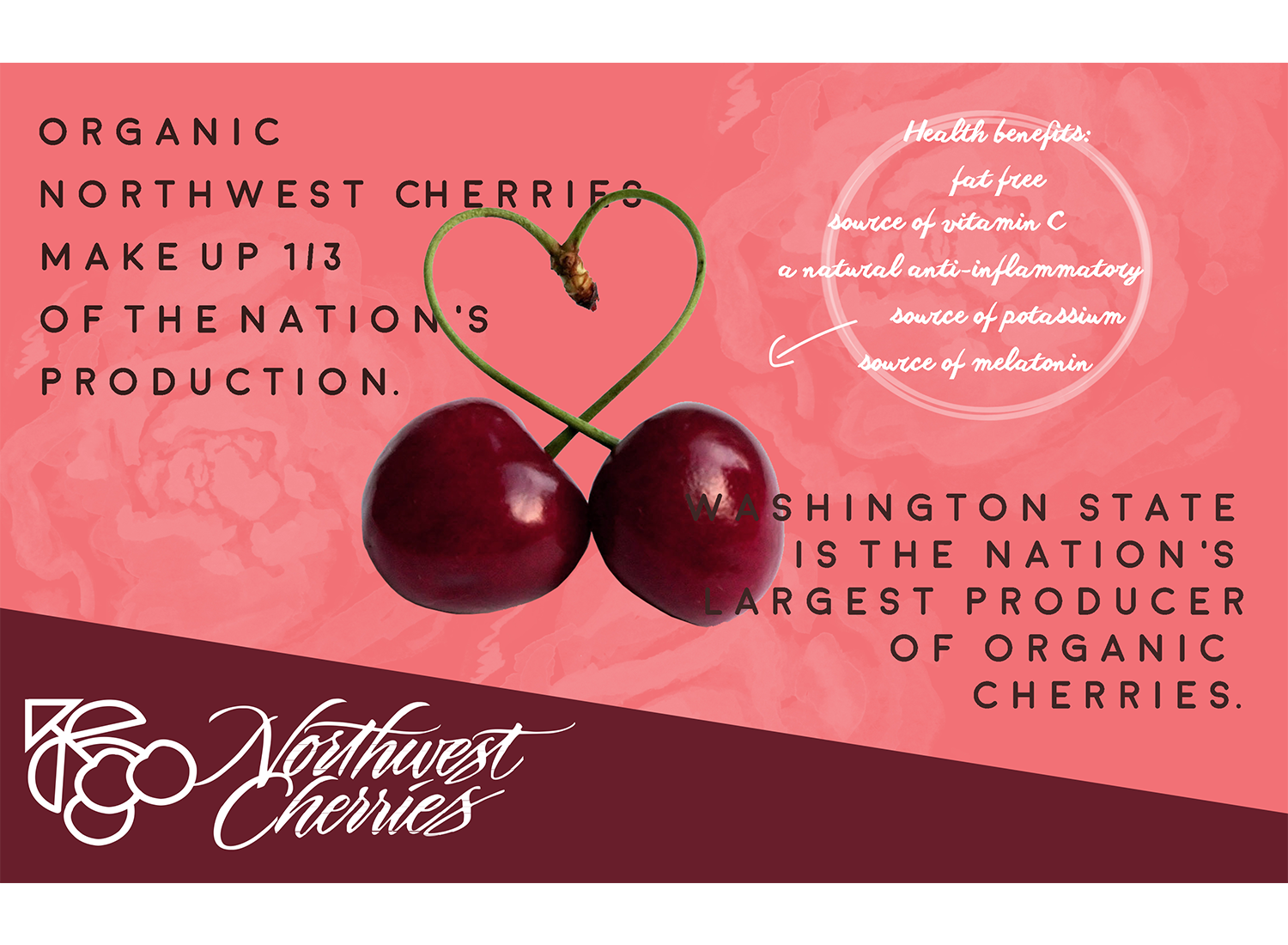 Flyer Design by CatEyesStudio for Washington State Fruit Commission | Design #14000561