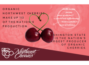 Flyer Design by CatEyesStudio for Washington State Fruit Commission | Design: #14000561