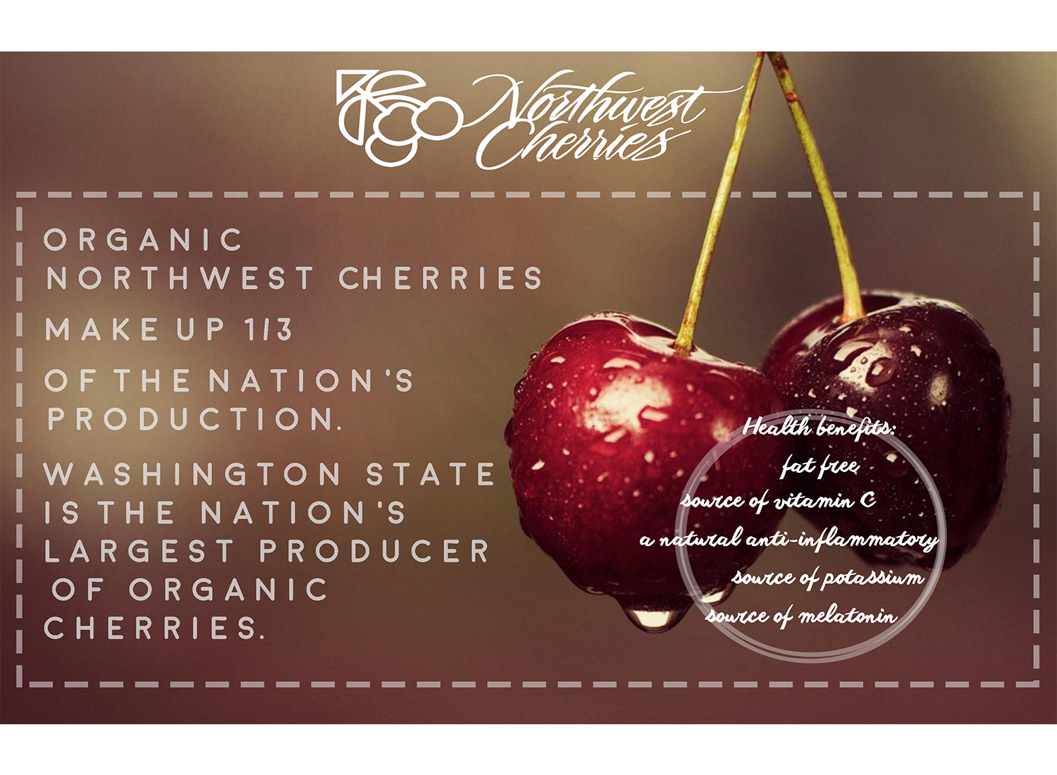 Flyer Design by CatEyesStudio for Washington State Fruit Commission | Design #14003381