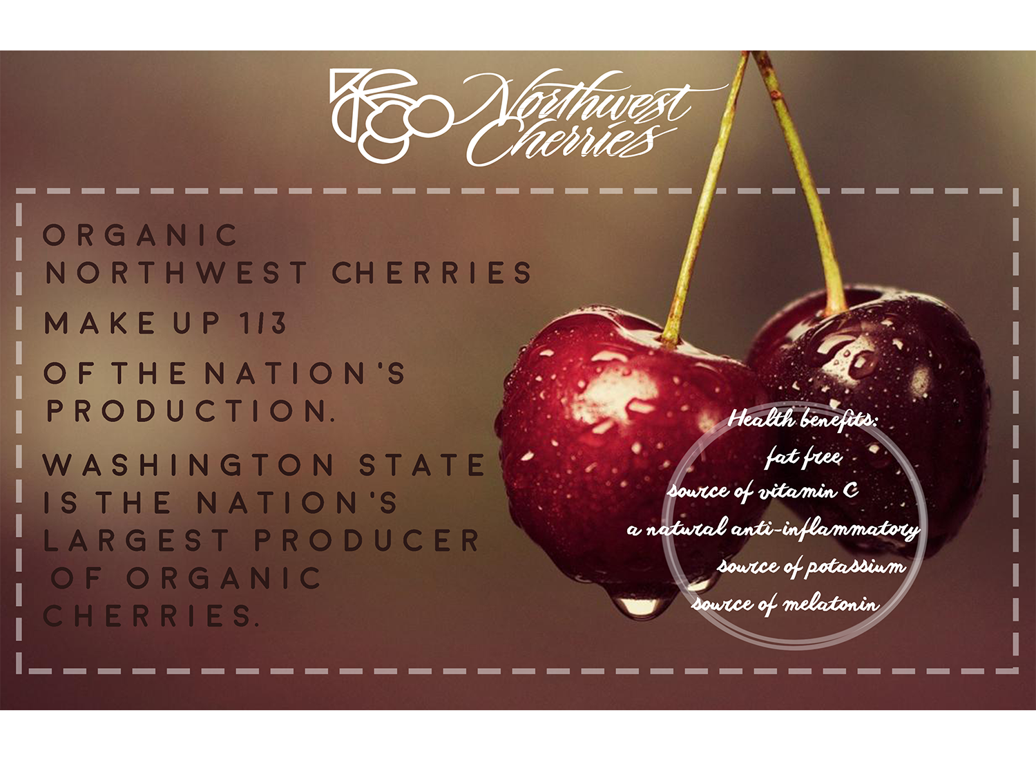 Flyer-Design von CatEyesStudio für Washington State Fruit Commission | Design #14003385