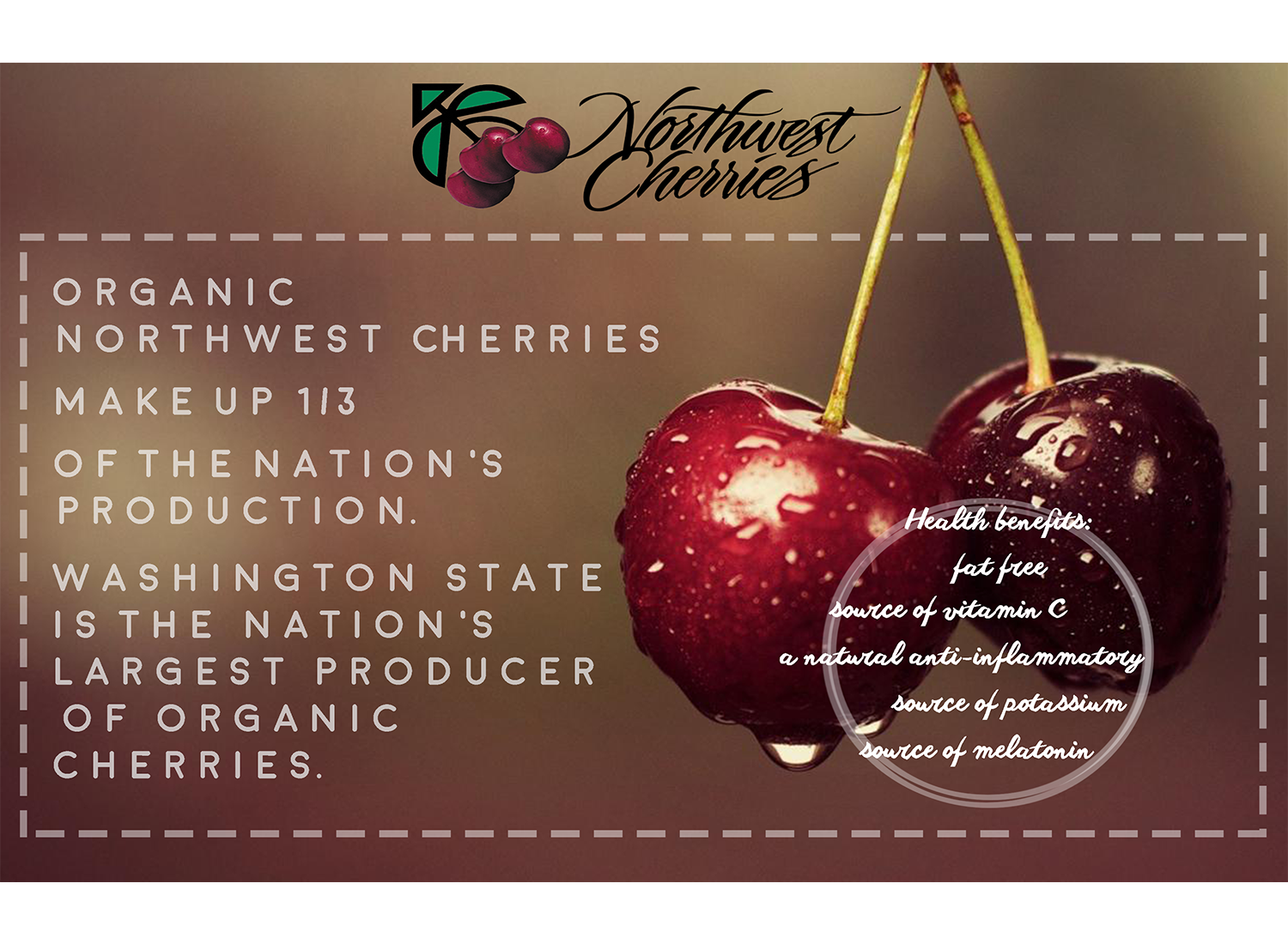 Diseño de Flyer por CatEyesStudio para Washington State Fruit Commission | Diseño #14007573