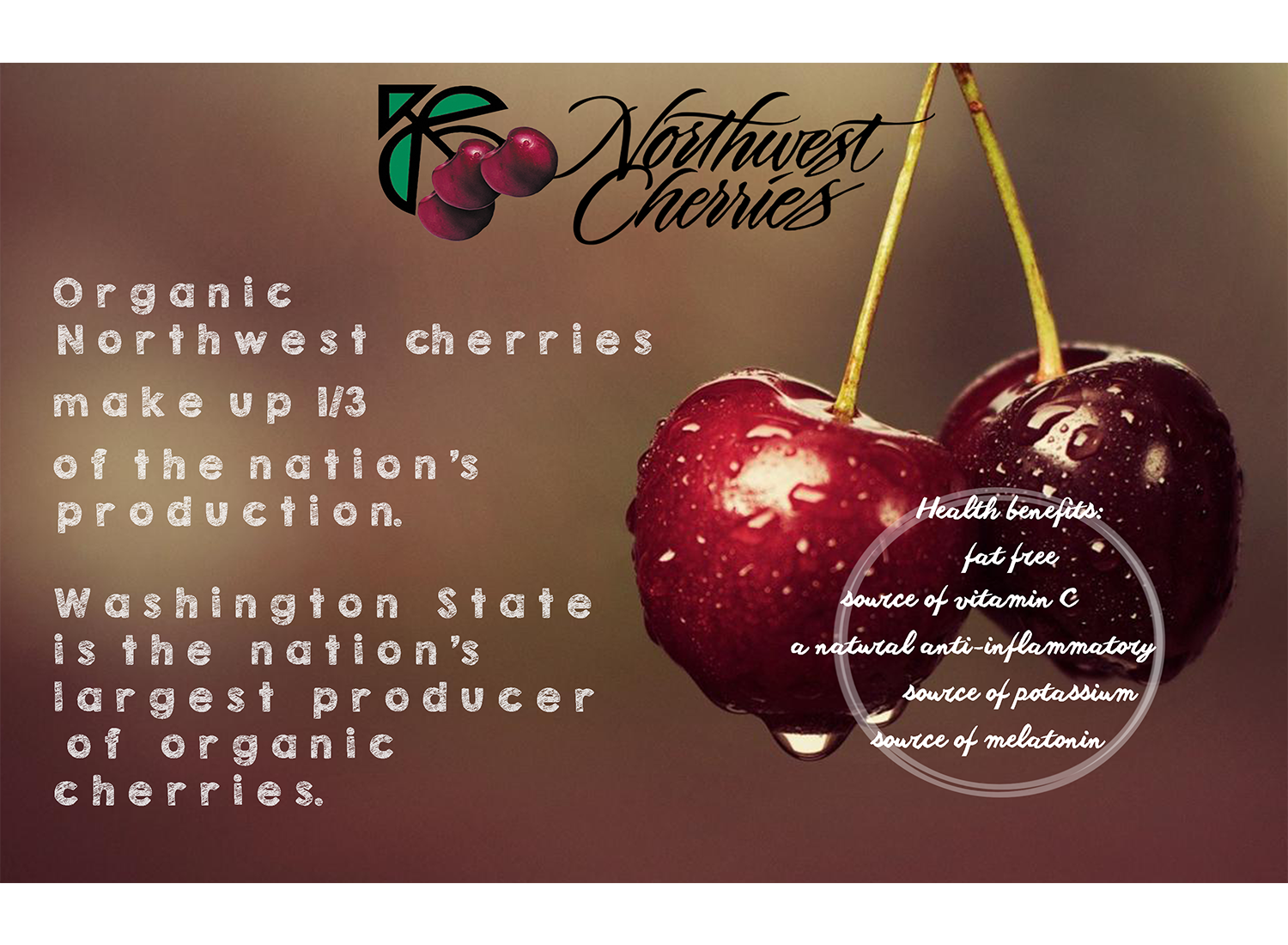 Diseño de Flyer por CatEyesStudio para Washington State Fruit Commission | Diseño #14030716