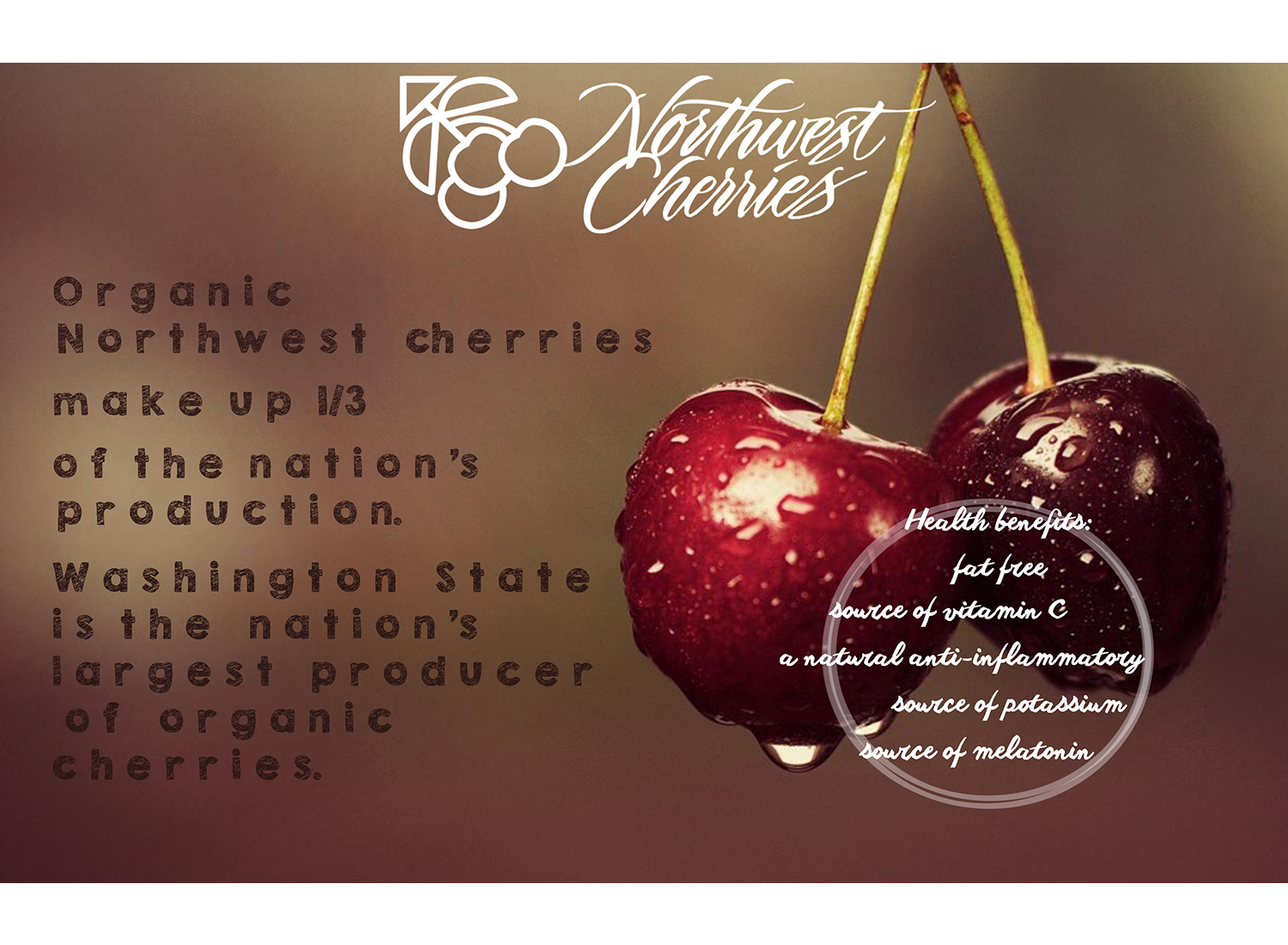 Diseño de Flyer por CatEyesStudio para Washington State Fruit Commission | Diseño #14030717