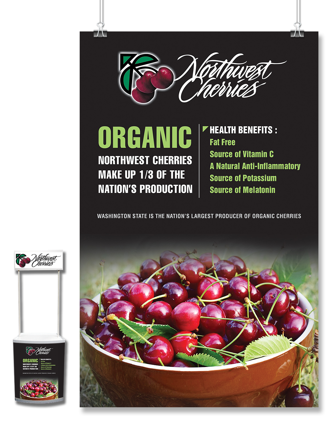 Flyer Design by - SWING - for Washington State Fruit Commission | Design #14018241