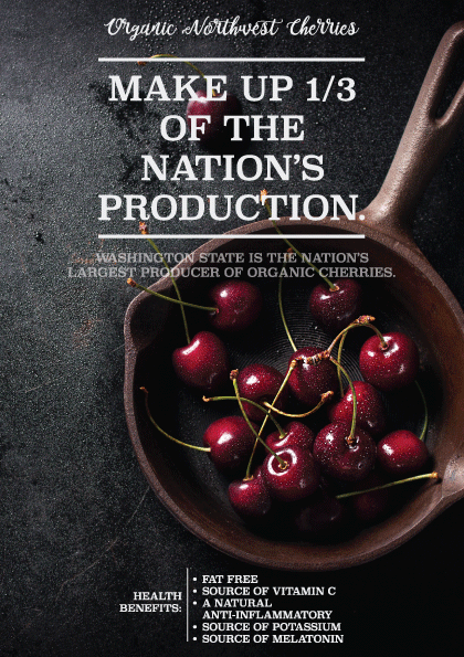 Flyer-Design von BRANDTASH für Washington State Fruit Commission | Design #14008204