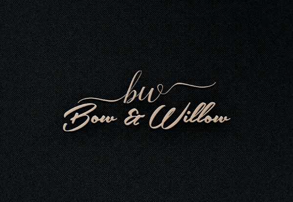 Logo-Design von EGYPT KING für Bow & Willow | Design #13978311