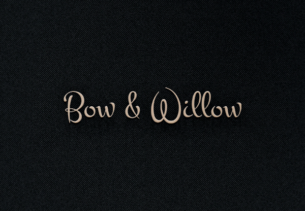 Logo Design by EGYPT KING for Bow & Willow | Design #13978312
