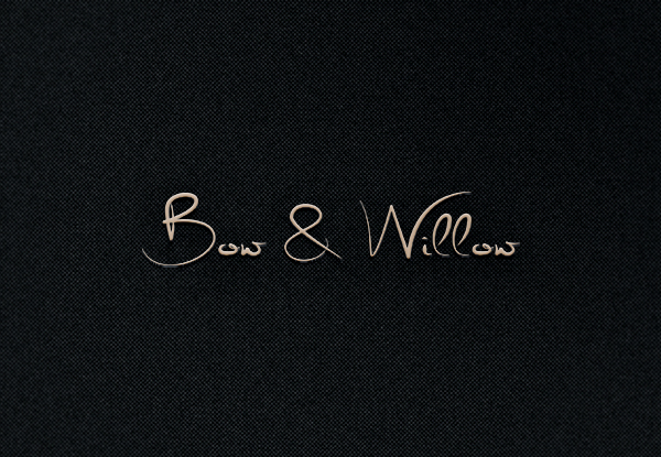 Logo Design by EGYPT KING for Bow & Willow | Design #13978328