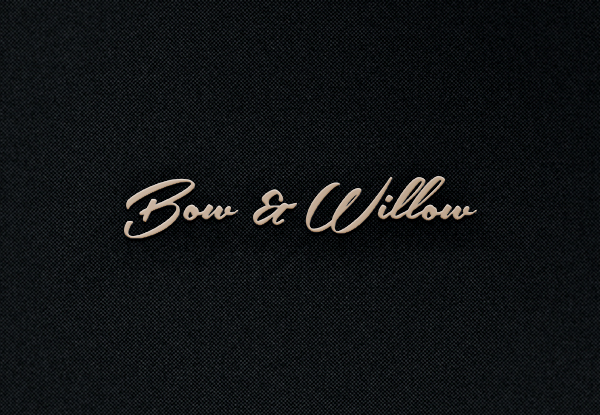 Diseño de Logo por EGYPT KING para Bow & Willow | Diseño #13978329