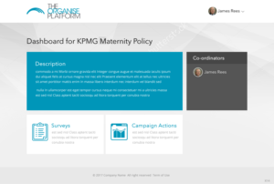 Online campaigning platform needs web design