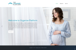 Web Design by pb for this project | Design: #14019490
