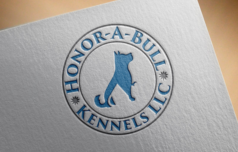Logo Design by imshohaghossain85 for this project | Design #13990811