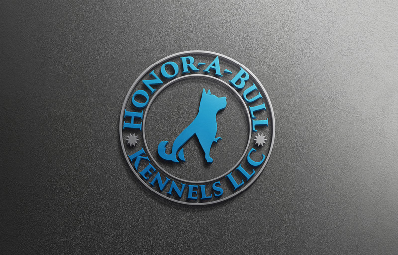 Logo Design by imshohaghossain85 for this project | Design #13990814