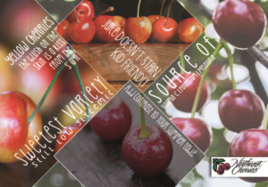 Flyer Design by Briburroughs