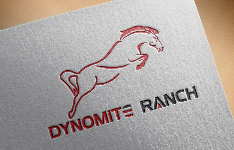 Diseño de Logo por Jon cristian para este proyecto | Diseño #13990956