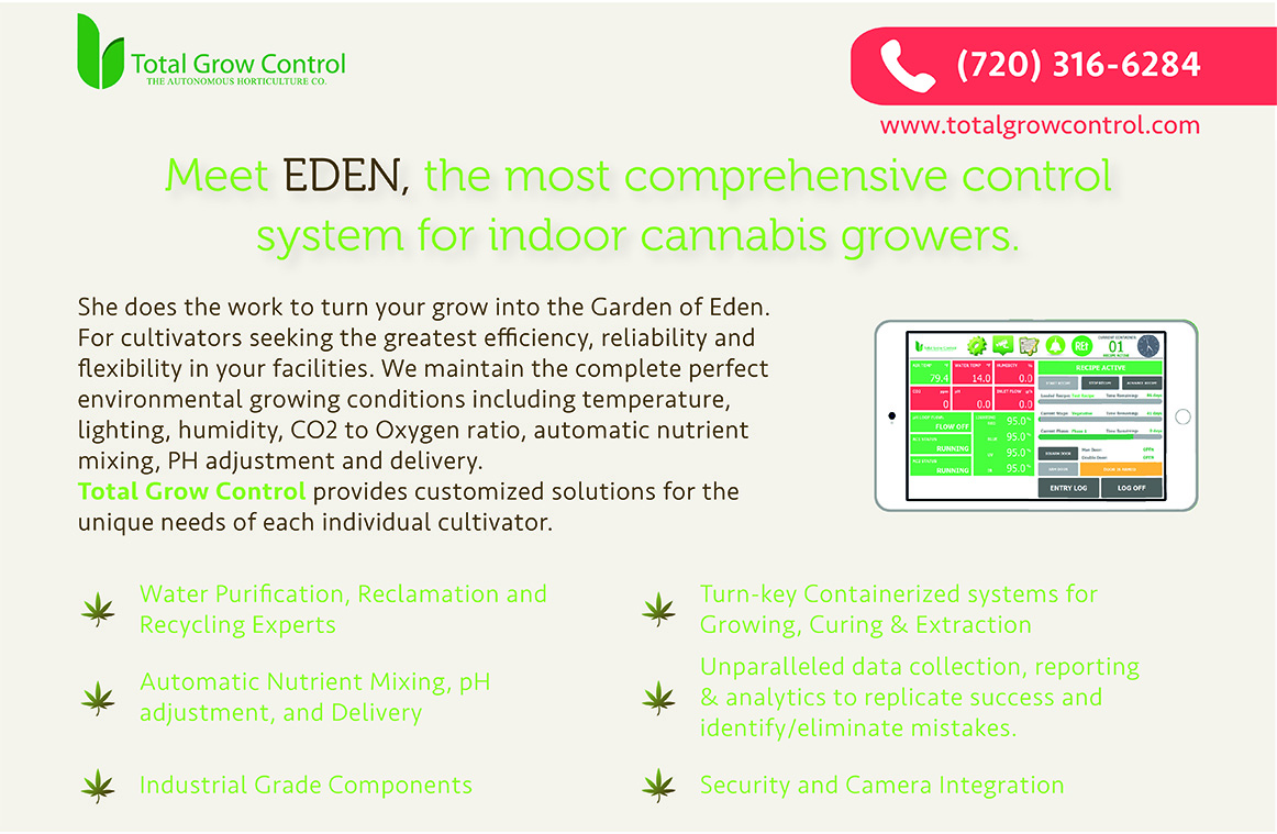 Diseño de Revista por petronela_nita para este proyecto | Diseño #14123810