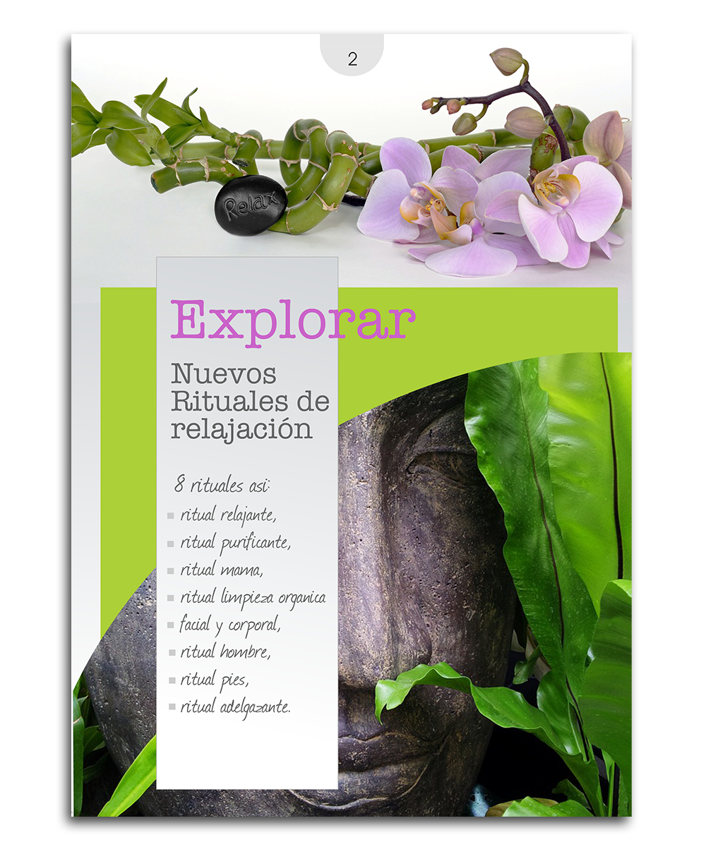 Diseño de Catálogo por elveneclipse para este proyecto | Diseño #14182511