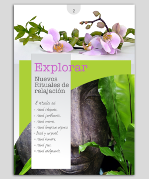 Diseño de Catálogo por elveneclipse para este proyecto | Diseño: #14190760