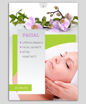 Diseño de Catálogo por elveneclipse para este proyecto | Diseño: #14190761