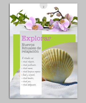 Diseño de Catálogo por elveneclipse para este proyecto | Diseño: #14197155