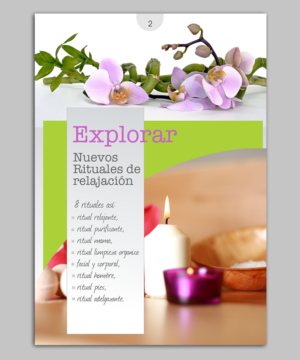 Diseño de Catálogo por elveneclipse para este proyecto | Diseño: #14197233