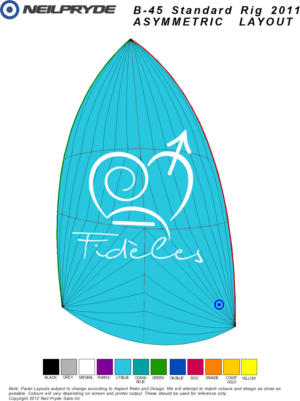 Graphic needed for Sailboat Spinnaker | Graphic Design by selador.si