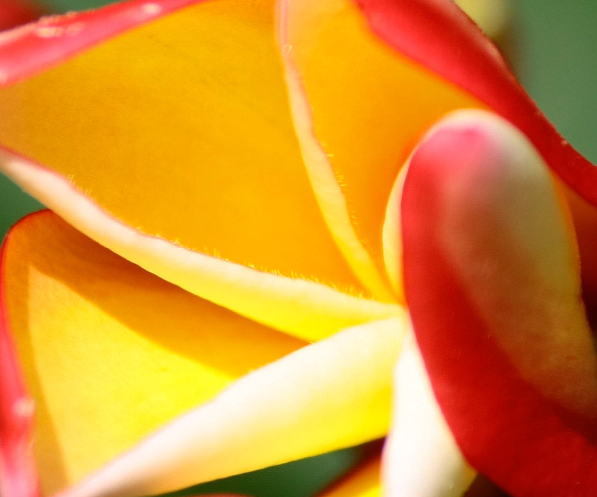Photography by eagle for DesignCrowd (Community Contests) | Design #14146117