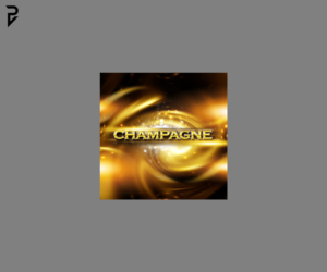 CD Cover Design by poisonvectors