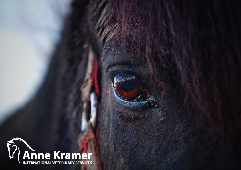 Logo Design by bc21 for this project | Design #14143761