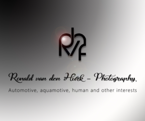 Logo Design by davidirwi