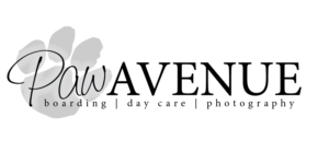 Logo Design by Cmtcar12 for this project | Design: #14176072