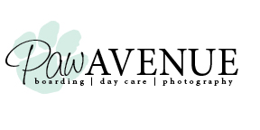 Logo Design by Cmtcar12 for this project | Design: #14469592