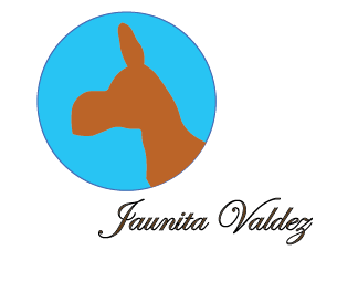 Logo-Design von @Anchal für CWNevada | Design #14072193