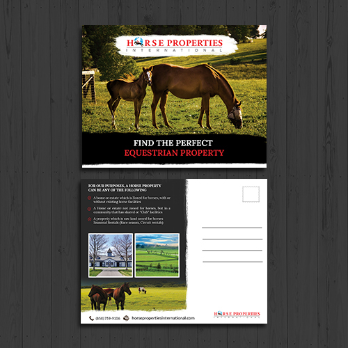 Postcard Design by debdesign for Horse Properties International | Design #18721730