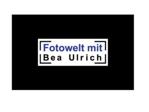 Logo Design by Origin to Original for Fotowelt mit Bea Ulrich | Design: #14031750
