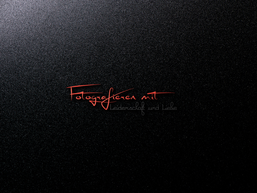 Logo Design by logout babu for Fotowelt mit Bea Ulrich | Design #14022602