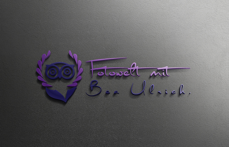 Logo Design by Top king  designer for Fotowelt mit Bea Ulrich | Design #14023686