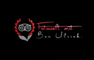 Logo Design by Top king  designer for Fotowelt mit Bea Ulrich | Design: #14047792