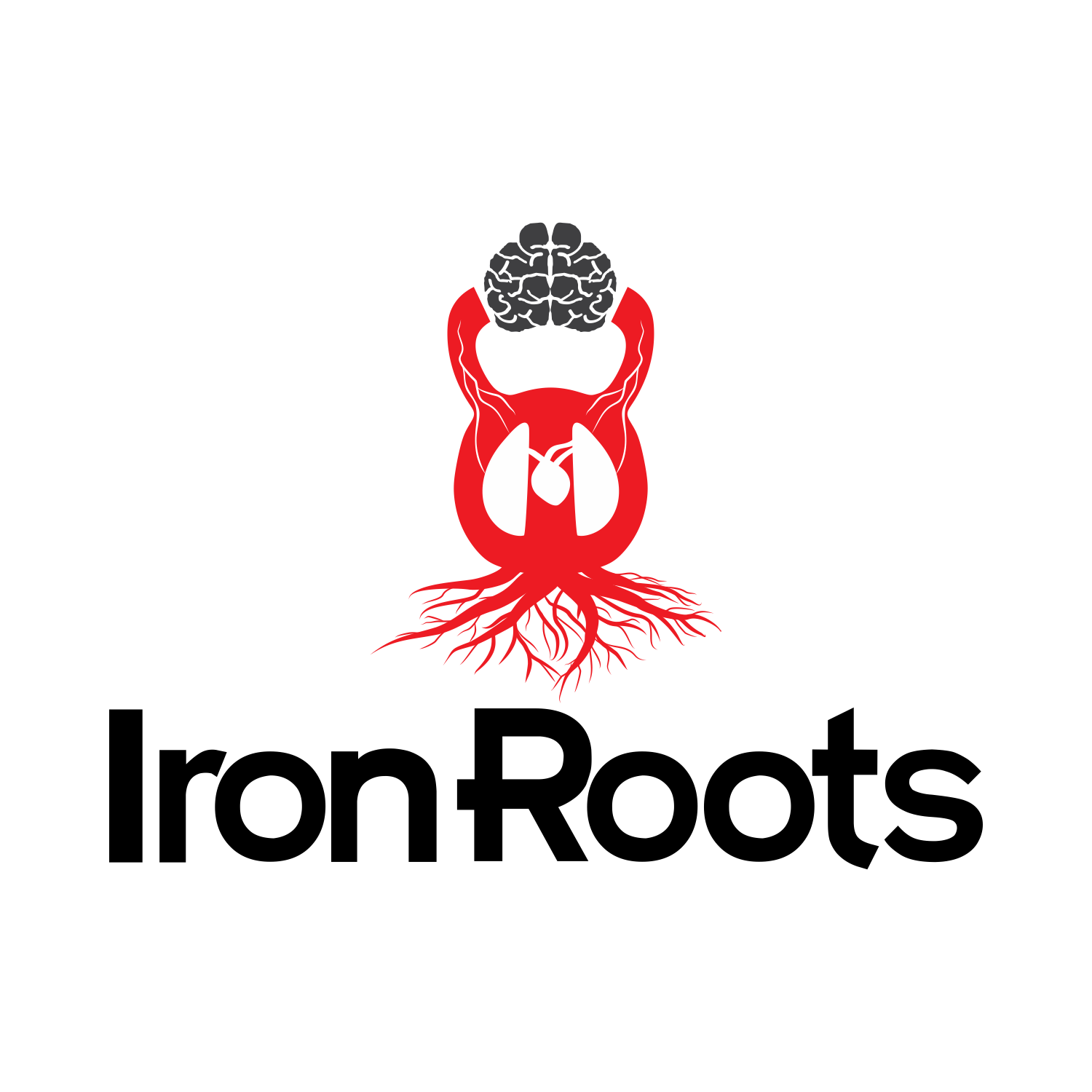 Diseño de Logo por moisesf para este proyecto | Diseño #14210060