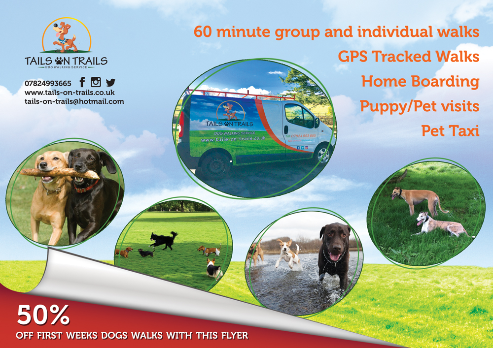 Flyer Design by Rozita for TAILS ON TRAILS | Design #14045067