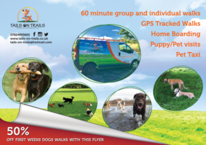 Flyer Design by Rozita for TAILS ON TRAILS | Design: #14045067