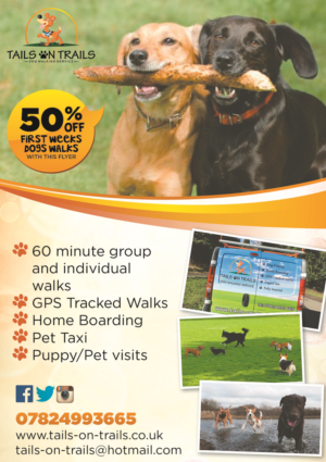 Flyer Design by Kimini